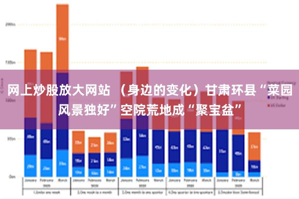 网上炒股放大网站 （身边的变化）甘肃环县“菜园风景独好”空院荒地成“聚宝盆”