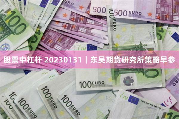 股票中杠杆 20230131｜东吴期货研究所策略早参