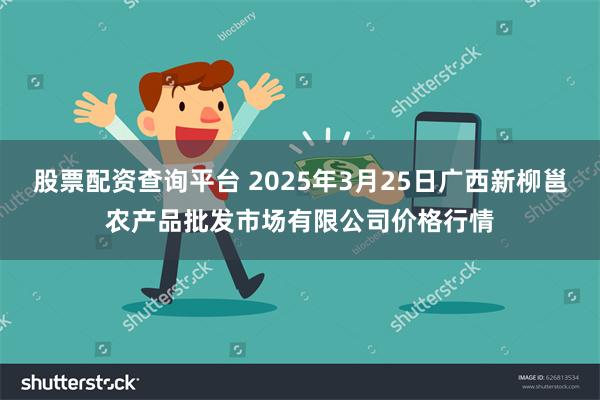 股票配资查询平台 2025年3月25日广西新柳邕农产品批发市场有限公司价格行情