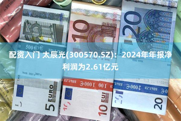 配资入门 太辰光(300570.SZ)：2024年年报净利润为2.61亿元