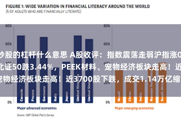 炒股的杠杆什么意思 A股收评：指数震荡走弱沪指涨0.03%，创指跌0.68%北证50跌3.44%，PEEK材料、宠物经济板块走高！近3700股下跌，成交1.14万亿缩量1235亿