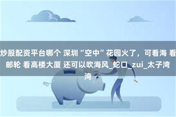 炒股配资平台哪个 深圳“空中”花园火了，可看海 看邮轮 看高楼大厦 还可以吹海风_蛇口_zui_太子湾