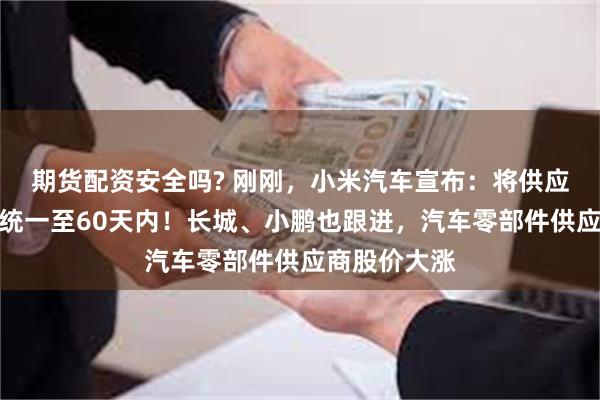 期货配资安全吗? 刚刚，小米汽车宣布：将供应商支付账期统一至60天内！长城、小鹏也跟进，汽车零部件供应商股价大涨