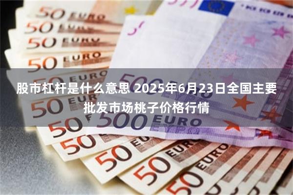 股市杠杆是什么意思 2025年6月23日全国主要批发市场桃子价格行情