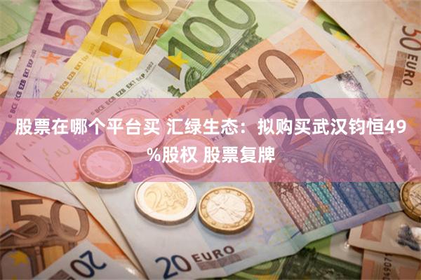 股票在哪个平台买 汇绿生态：拟购买武汉钧恒49%股权 股票复牌
