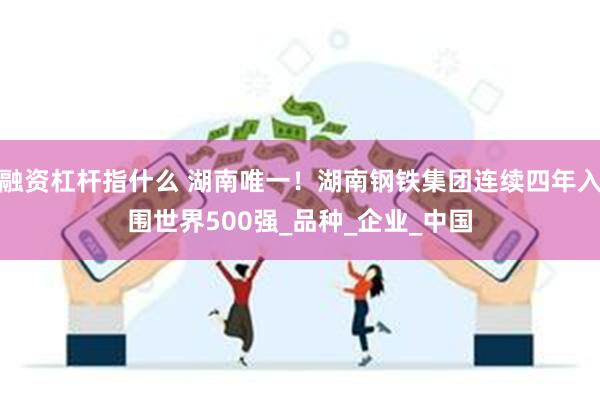 融资杠杆指什么 湖南唯一！湖南钢铁集团连续四年入围世界500强_品种_企业_中国