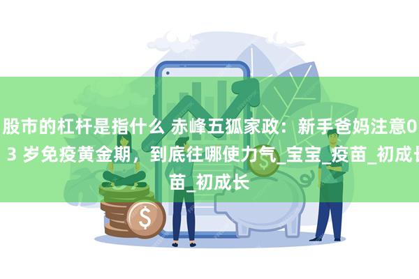 股市的杠杆是指什么 赤峰五狐家政：新手爸妈注意0 - 3 岁免疫黄金期，到底往哪使力气_宝宝_疫苗_初成长