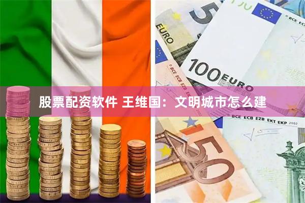 股票配资软件 王维国：文明城市怎么建